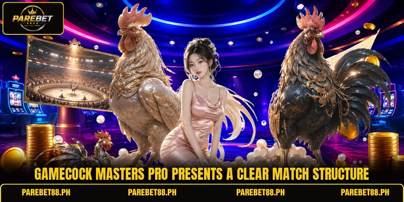 Gamecock masters pro presents a clear match structure Gamecock masters pro presents a clear match structure